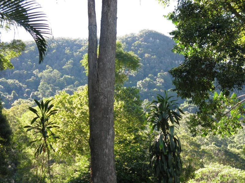 71 Mount Eerwah Road, Eerwah Vale QLD 4562