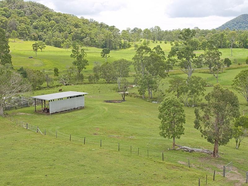 6 FLEETWOOD Road, Eumundi QLD 4562