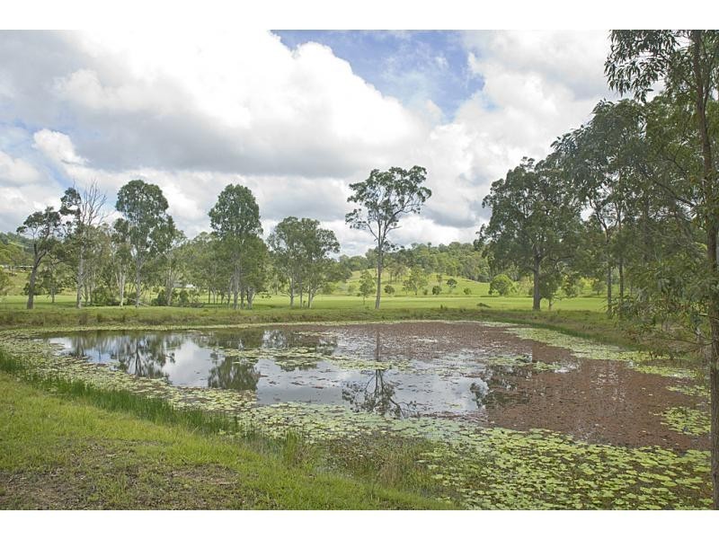 6 FLEETWOOD Road, Eumundi QLD 4562