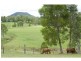 6 FLEETWOOD Road, Eumundi QLD 4562