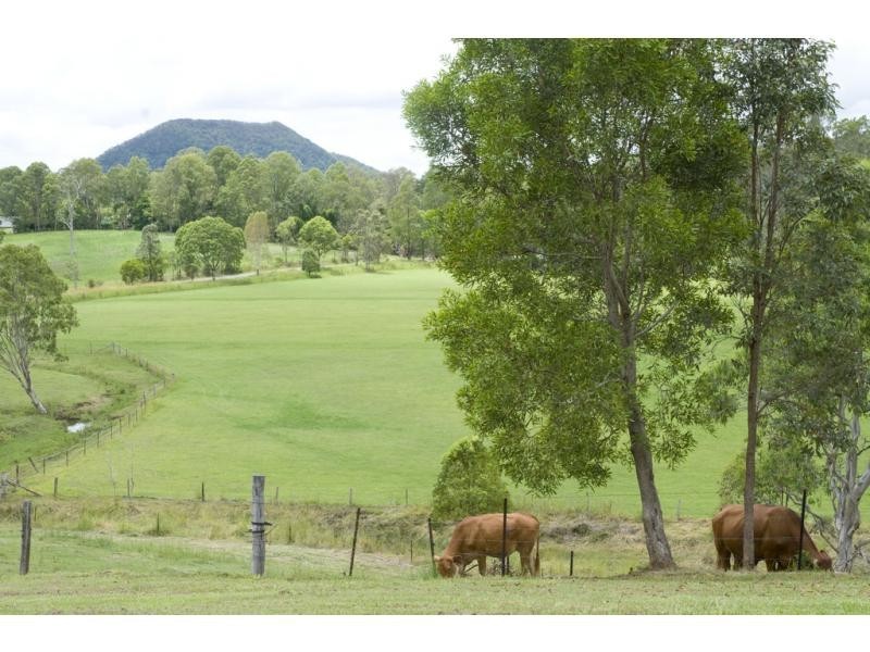 6 FLEETWOOD Road, Eumundi QLD 4562