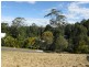 7 CRESCENT Road, Eumundi QLD 4562