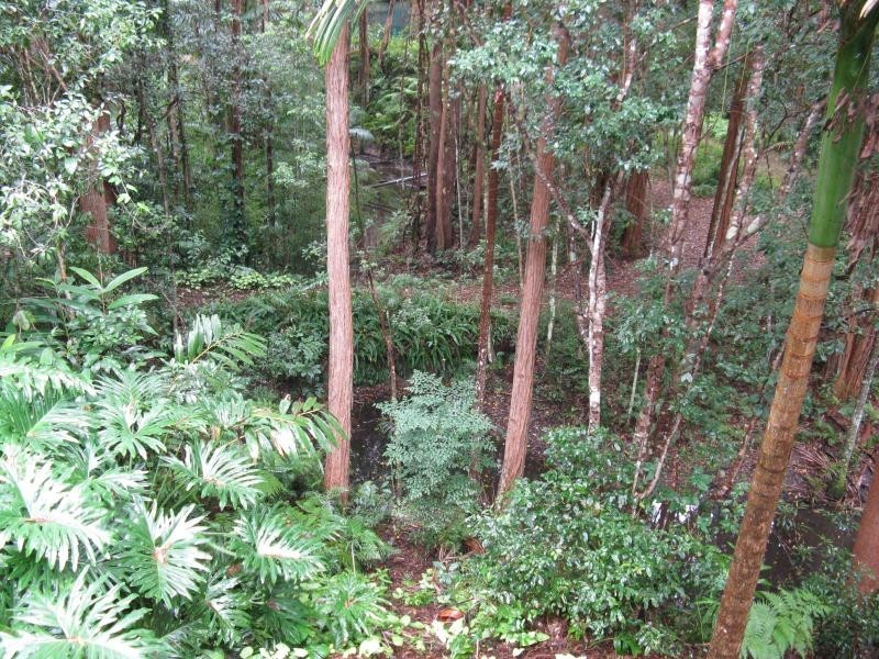 13 Tallgum Avenue, Verrierdale QLD 4562