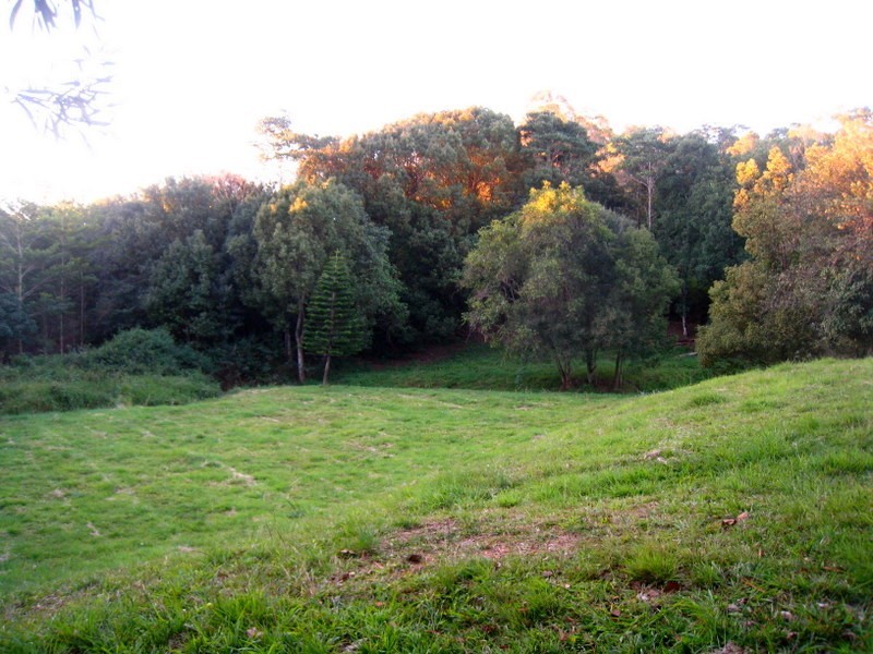 6 BALKIN Court, Eumundi QLD 4562