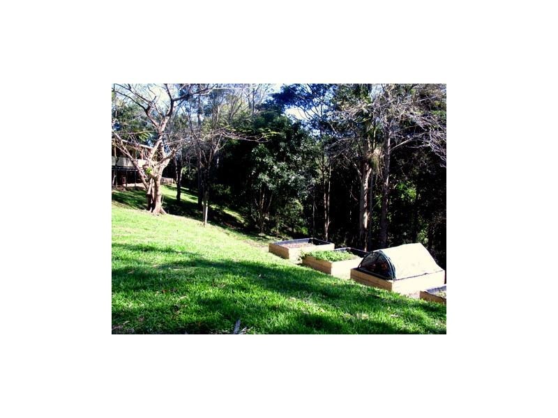 6 BALKIN Court, Eumundi QLD 4562