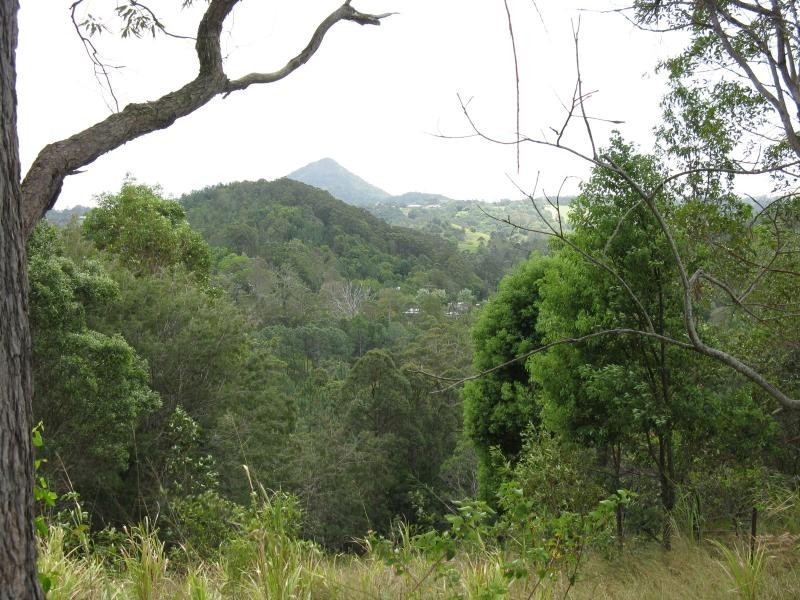 1353 EUMUNDI NOOSA Road, Eumundi QLD 4562