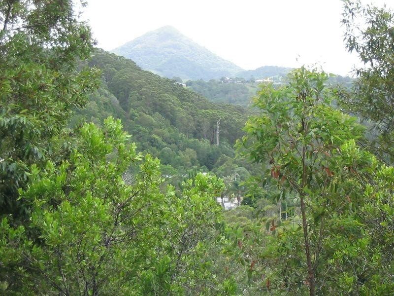 1353 EUMUNDI NOOSA Road, Eumundi QLD 4562