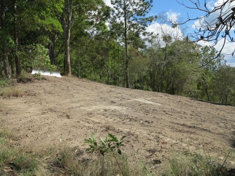 1353 EUMUNDI NOOSA Road, Eumundi QLD 4562