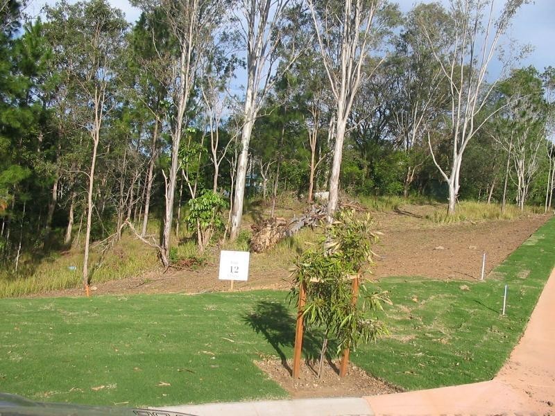 Eumundi QLD 4562
