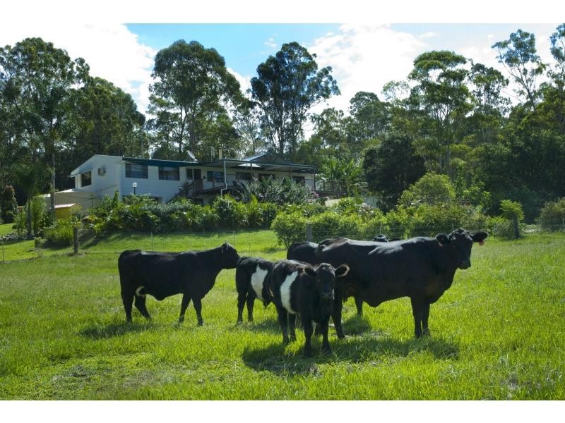 Belli Park QLD 4562