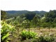 237 OLD CEYLON Road, Cooroy QLD 4563