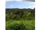 237 OLD CEYLON Road, Cooroy QLD 4563