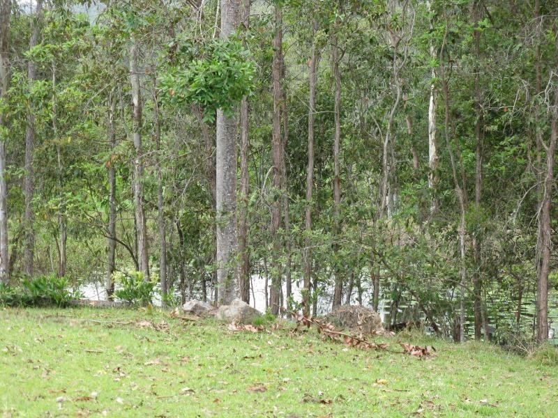 322 CEDAR CREEK Road, Belli Park QLD 4562