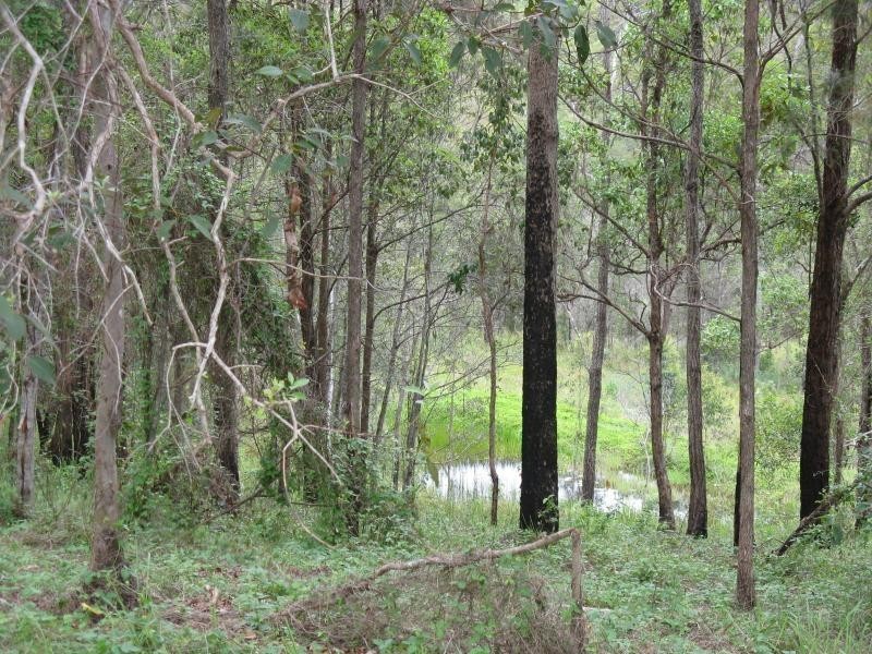 322 CEDAR CREEK Road, Belli Park QLD 4562