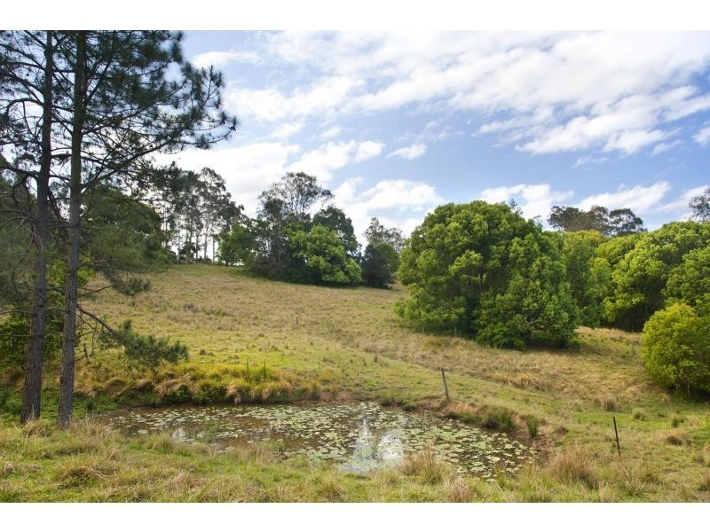 53 Crescent Road, Eumundi QLD 4562