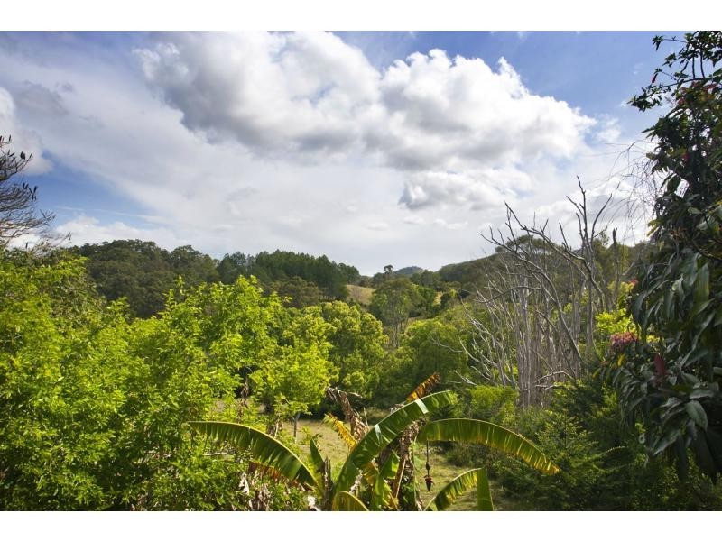 53 Crescent Road, Eumundi QLD 4562