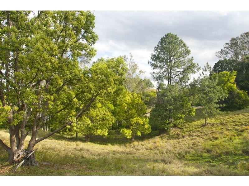 53 Crescent Road, Eumundi QLD 4562