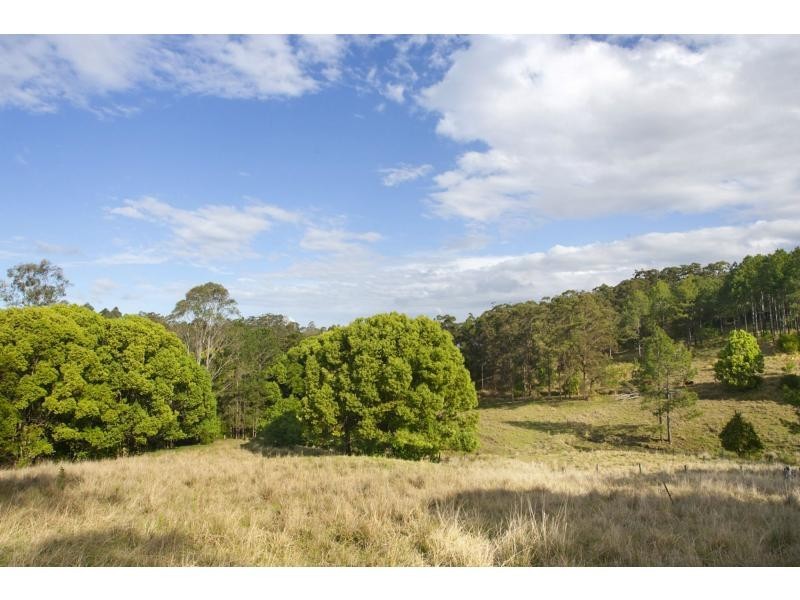 53 Crescent Road, Eumundi QLD 4562