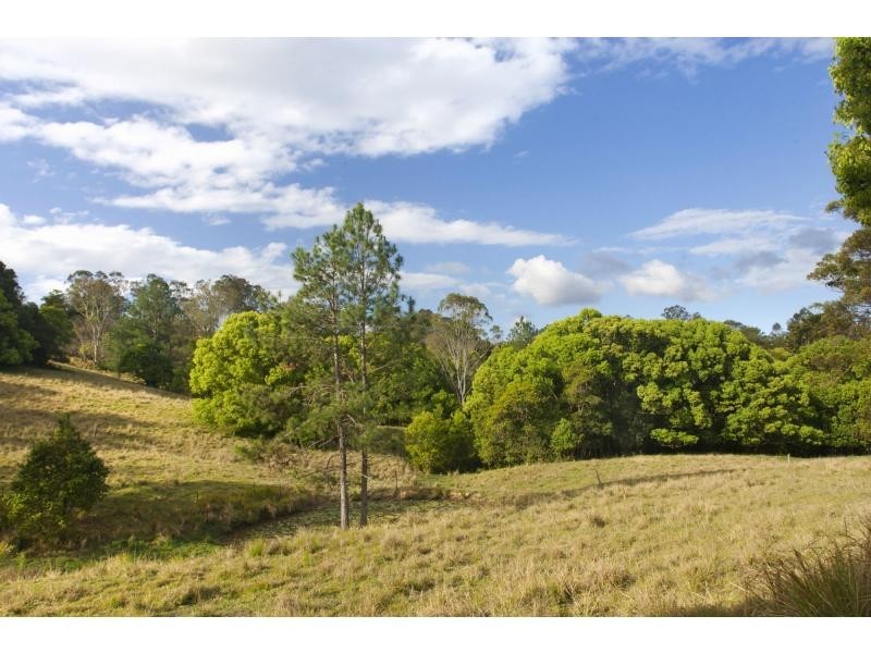 53 Crescent Road, Eumundi QLD 4562