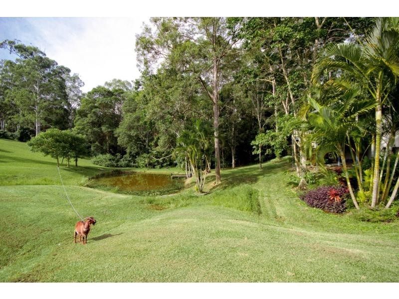 145 DUKE Road, Doonan QLD 4562