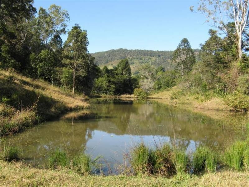 563 EUMUNDI-KENILWORTH Road, Eerwah Vale QLD 4562
