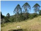 563 EUMUNDI-KENILWORTH Road, Eerwah Vale QLD 4562