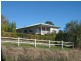 Eumundi QLD 4562
