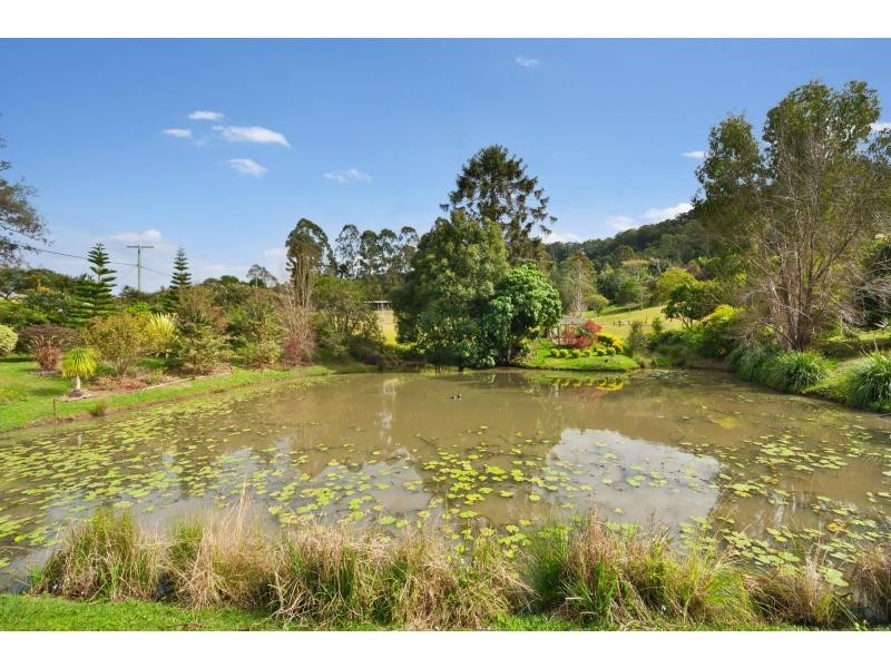 41 MUSAVALE Road, Eerwah Vale QLD 4562