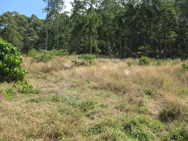 432 BUNYA Road, North Arm QLD 4561