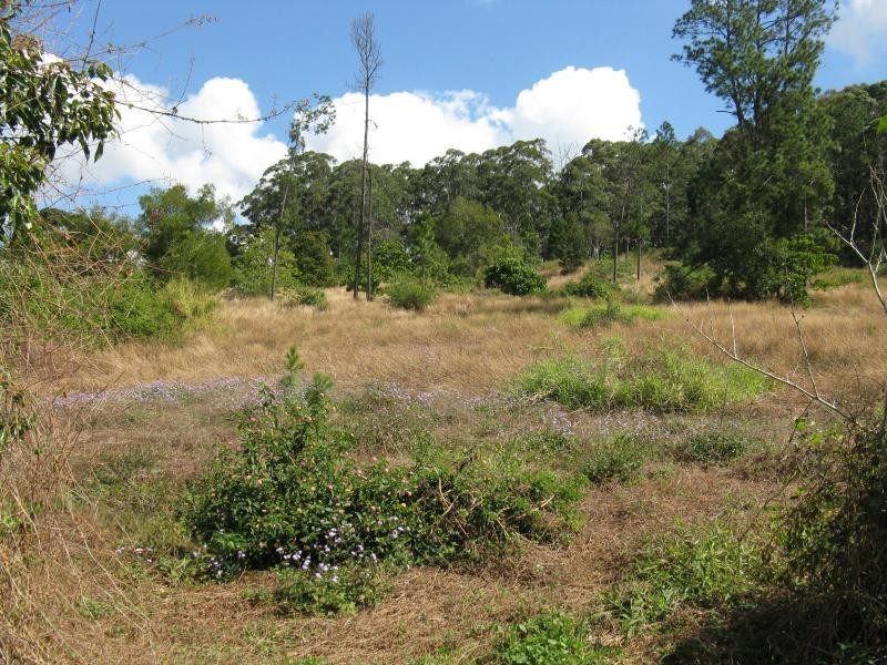 432 BUNYA Road, North Arm QLD 4561