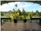 4 BURRELL Avenue, Eumundi QLD 4562
