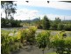 4 BURRELL Avenue, Eumundi QLD 4562