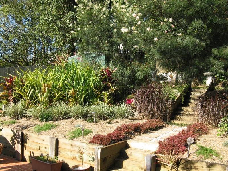 16 WARD Street, Eumundi QLD 4562