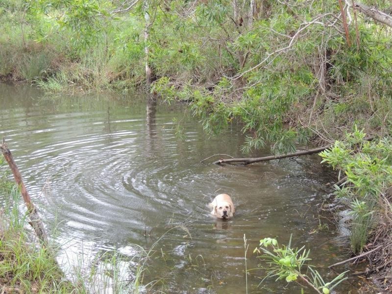 33 MURRAY Road, Gheerulla QLD 4574