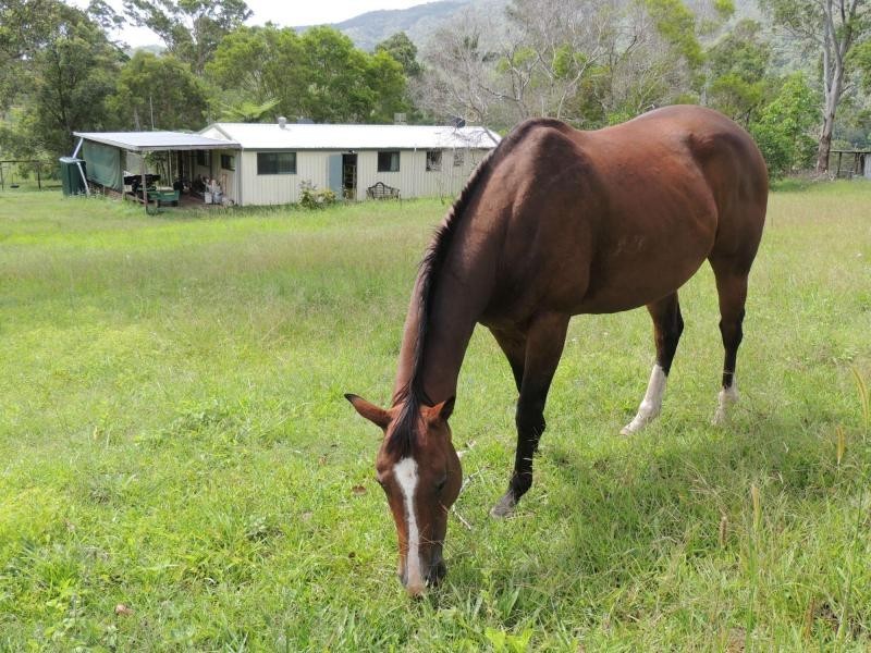33 MURRAY Road, Gheerulla QLD 4574