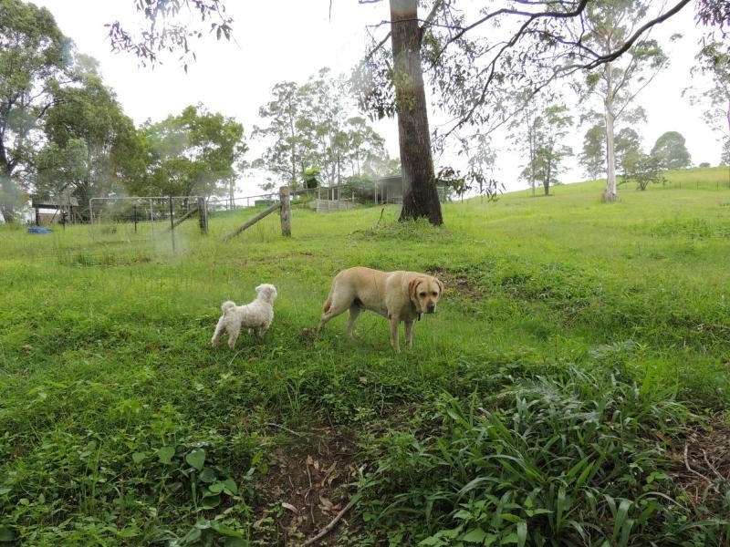 33 MURRAY Road, Gheerulla QLD 4574