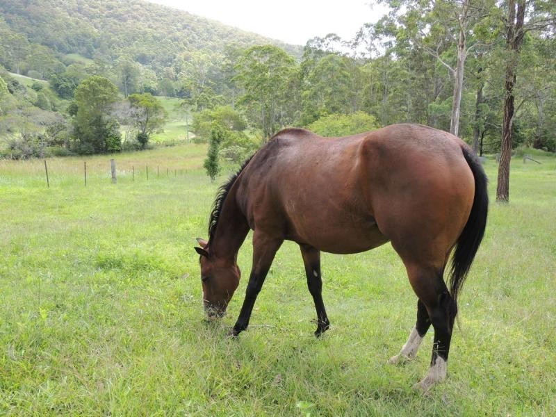 33 MURRAY Road, Gheerulla QLD 4574