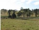 1090 EUMUNDI KENILWORTH Road, Belli Park QLD 4562