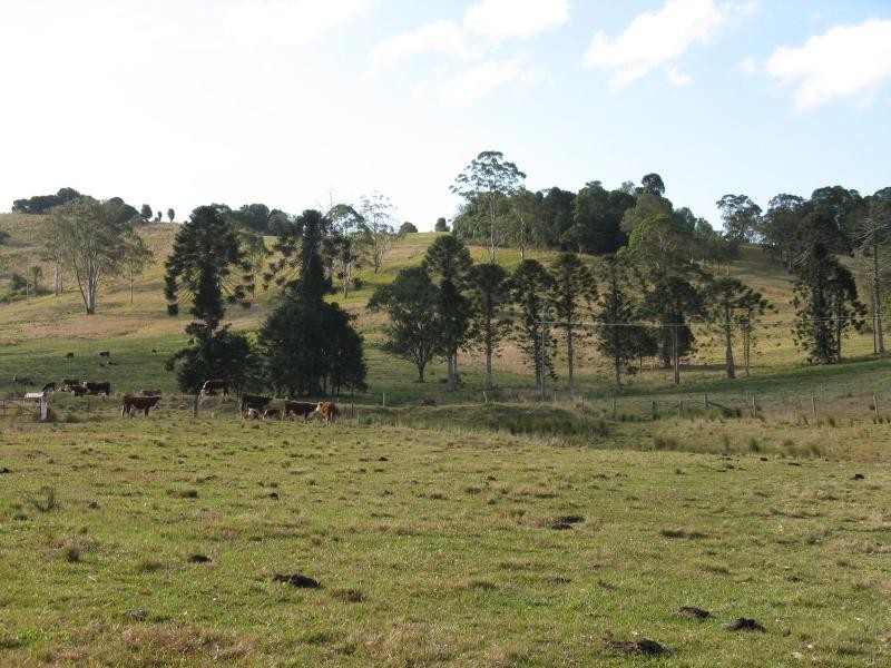 1090 EUMUNDI KENILWORTH Road, Belli Park QLD 4562