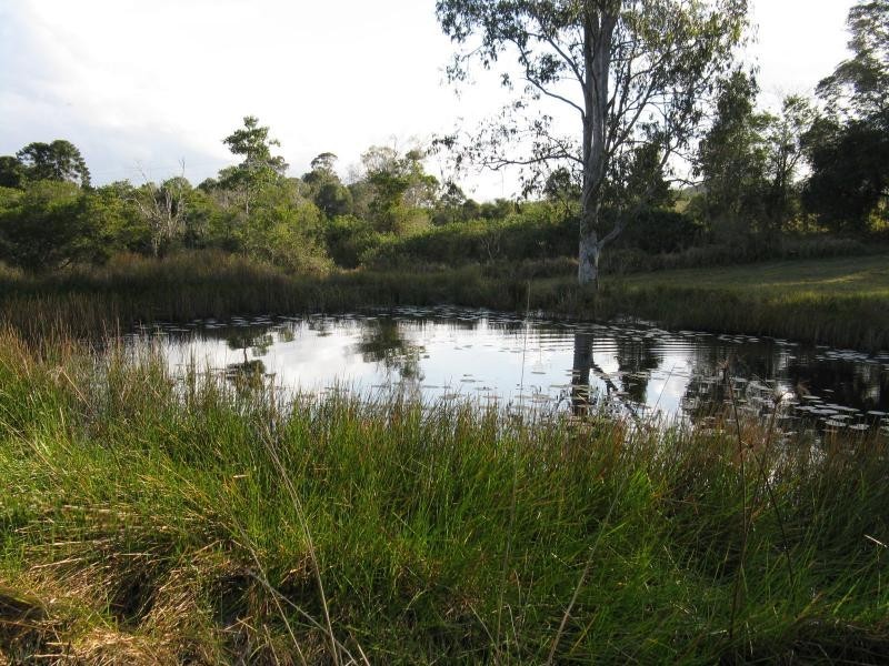 1090 EUMUNDI KENILWORTH Road, Belli Park QLD 4562
