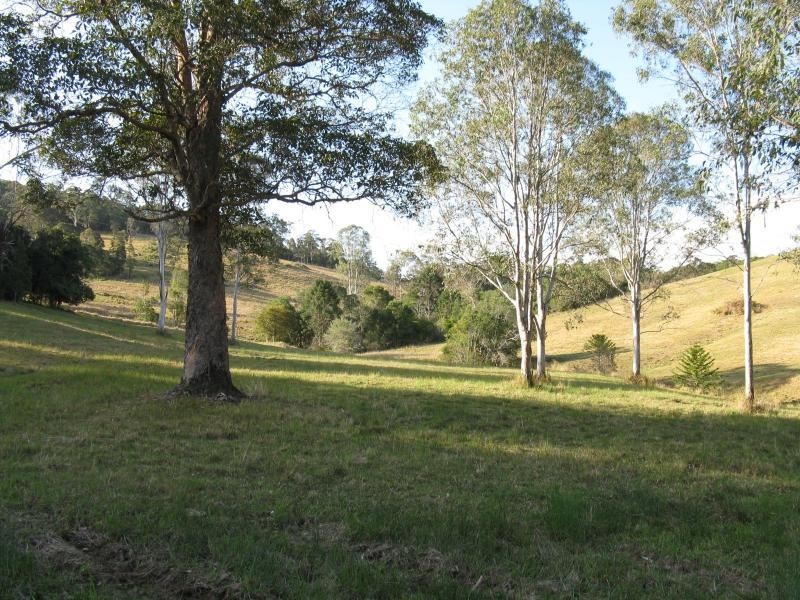 1090 EUMUNDI KENILWORTH Road, Belli Park QLD 4562