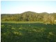 54 Fig Tree Lane, Yandina Creek QLD 4561