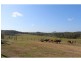 54 Fig Tree Lane, Yandina Creek QLD 4561