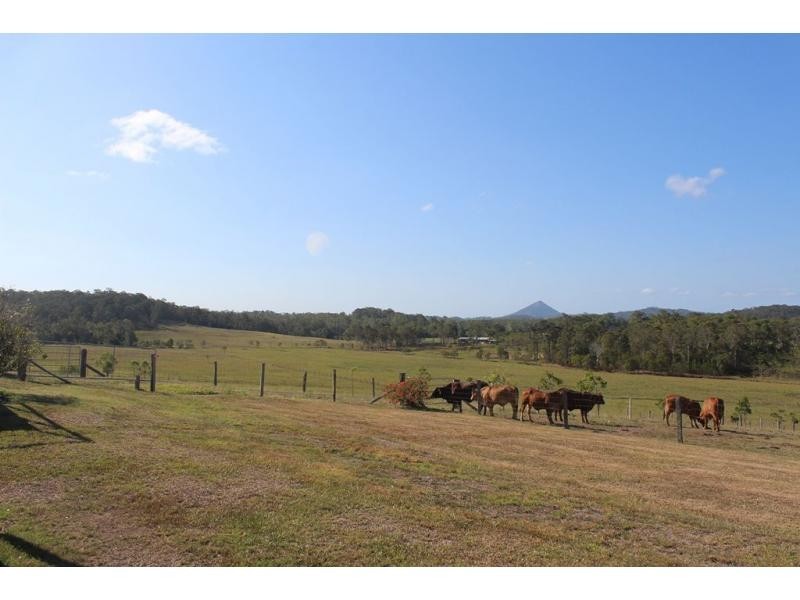 54 Fig Tree Lane, Yandina Creek QLD 4561