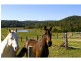54 FIG TREE Lane, Yandina Creek QLD 4561