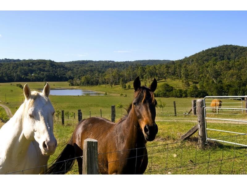 54 FIG TREE Lane, Yandina Creek QLD 4561