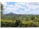 111 Memorial Drive, Eumundi QLD 4562