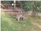 121 Boyle Road, Belli Park QLD 4562