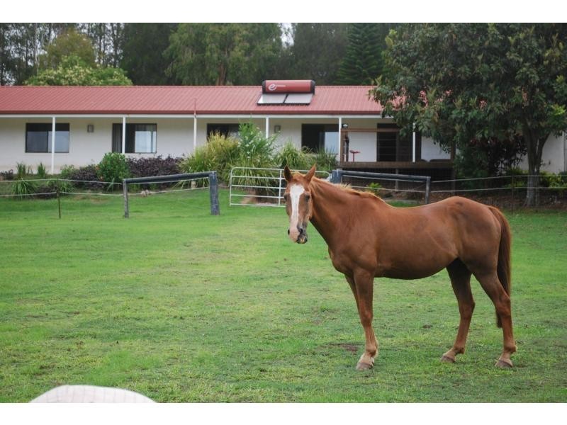 Kandanga QLD 4570