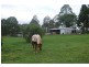 Kandanga QLD 4570